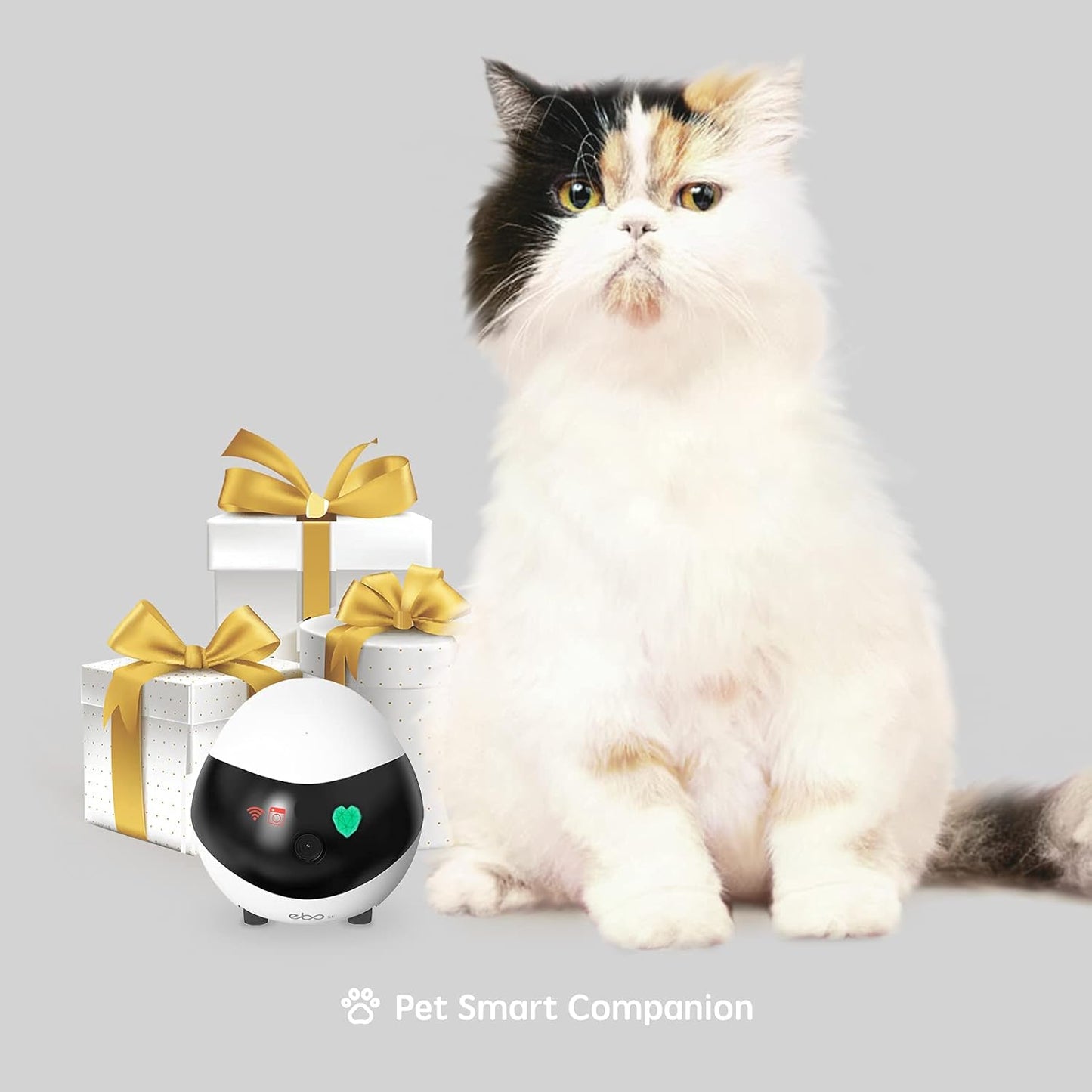Servio Remote Control Security Camera Robot with Charging Dock