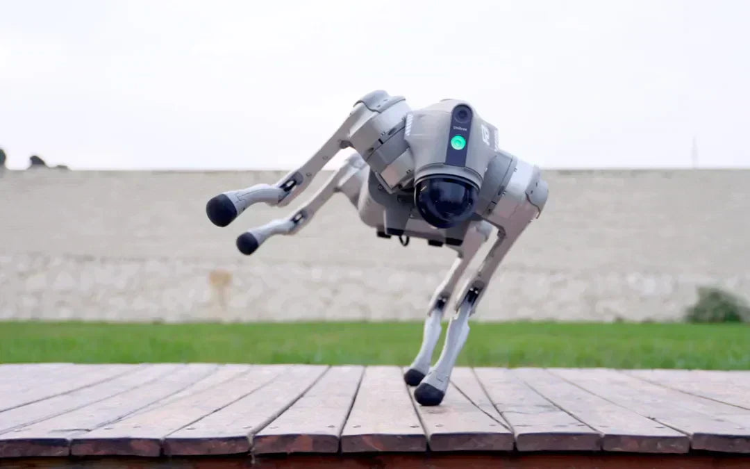 Servio Unitree Go2 Air — Guide + Buy / Rent Options