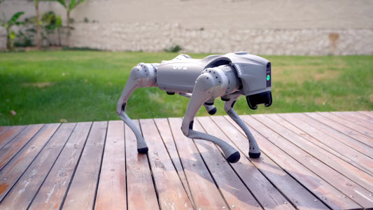 Servio Robot Dog – GO2 Air
