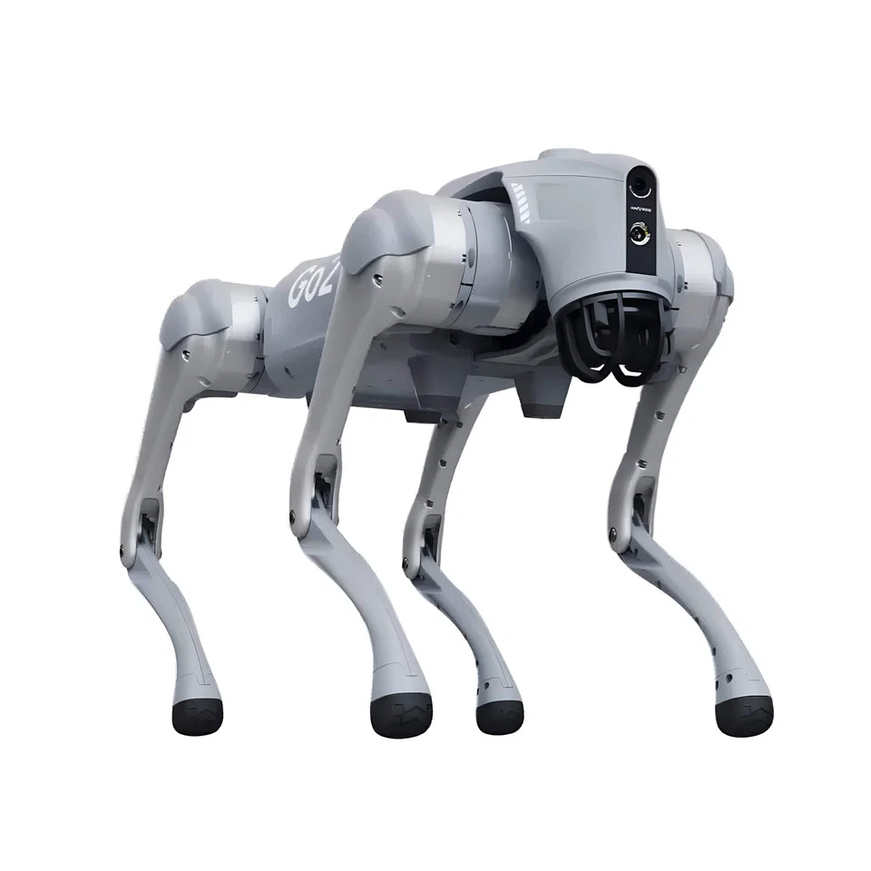 Unitree Go2 Air Robot Dog Rental