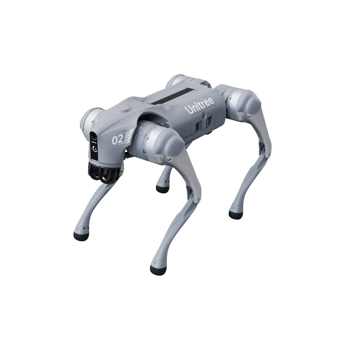 Unitree Go2 Air Robot Dog Rental